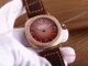 2017 Radiomir Panerai Replica Watch - SS Chocolate Face Brown Leather 45mm (3)_th.jpg